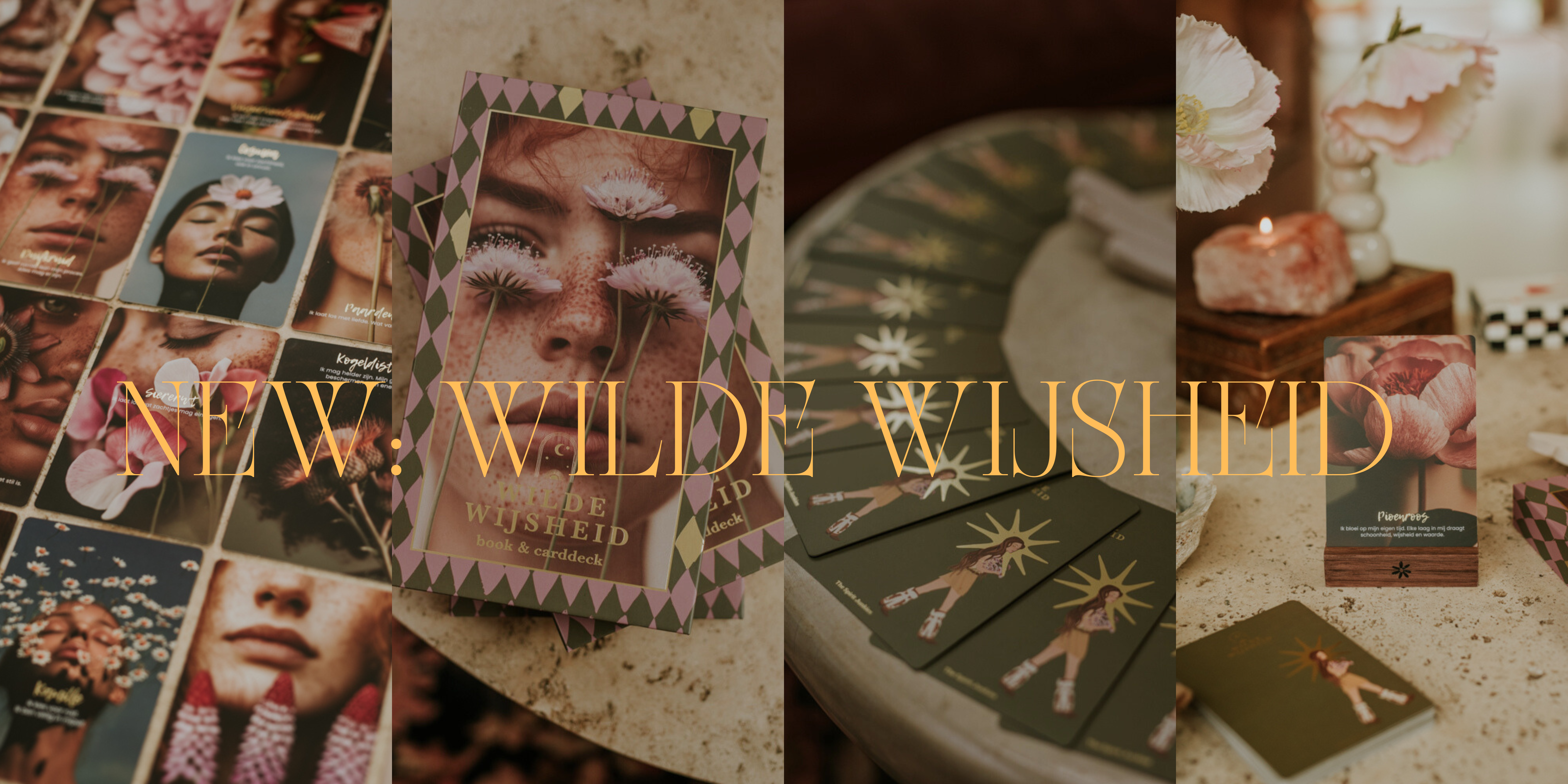 wilde wijsheid wilde wijsheid